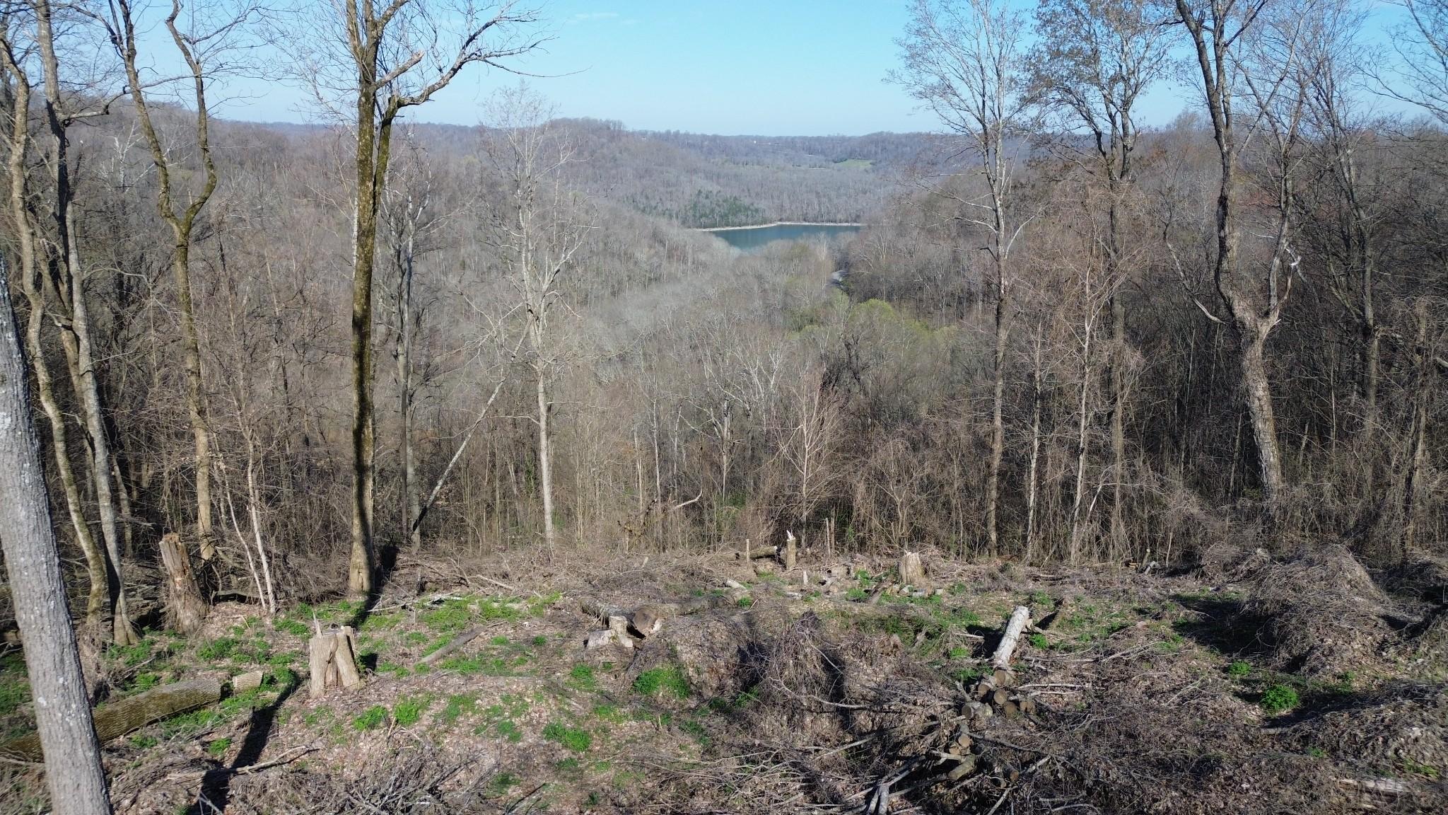 Image 3 Image 3