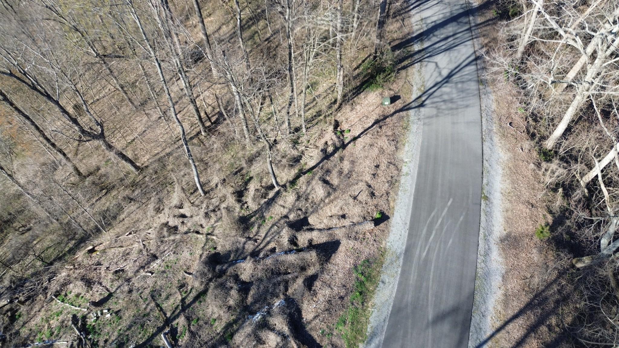 Image 4 Image 4