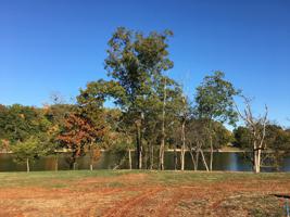 0 Barefoot Way Lot 39