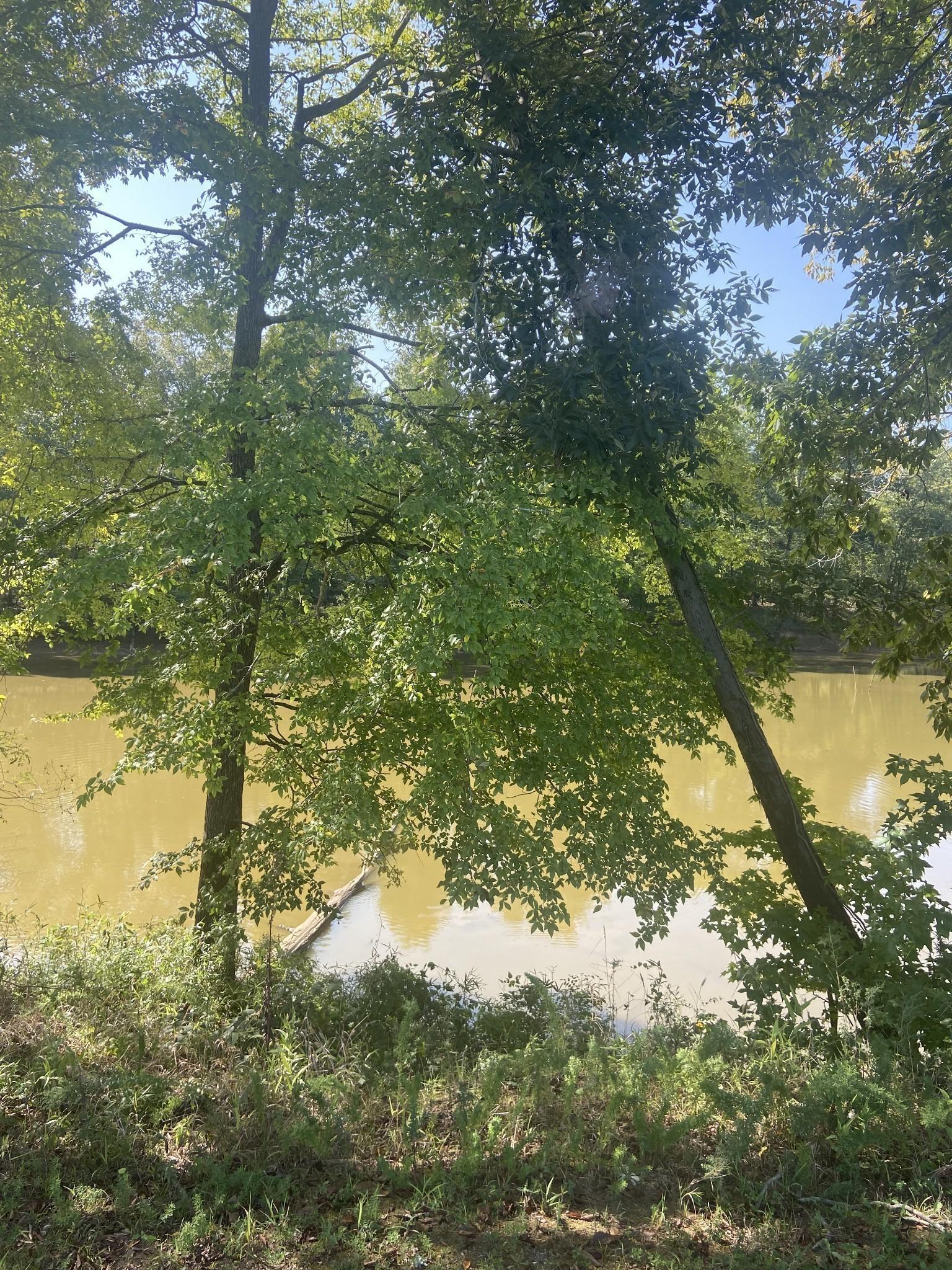 Image 2 Image 2