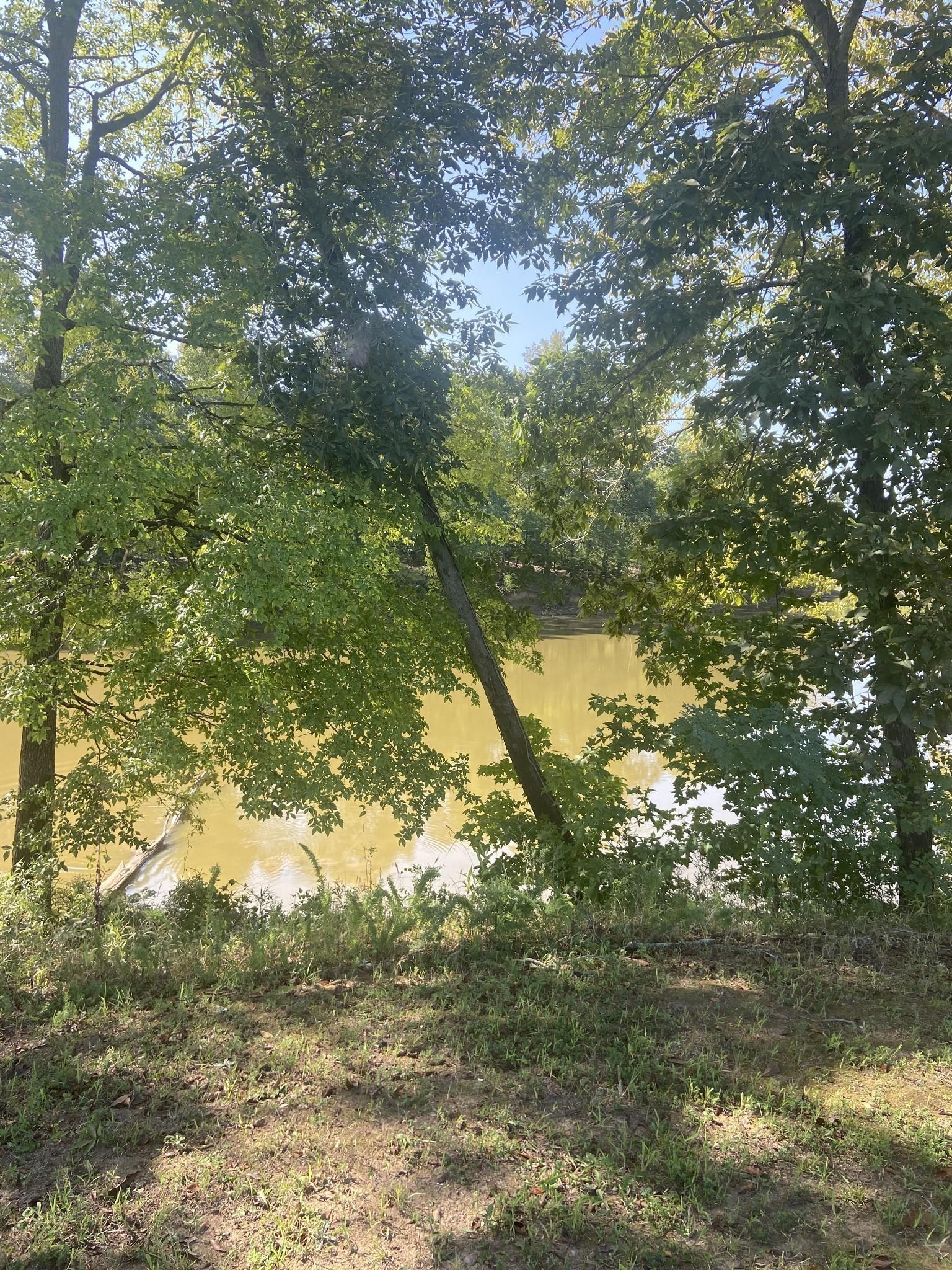 Image 4 Image 4