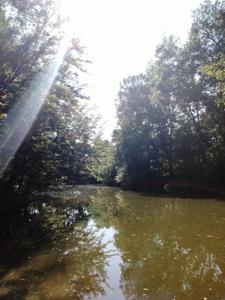0 Boat Ramp Ln
