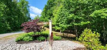 0 Coves Pointe