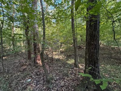 5 Mullins Cove Road