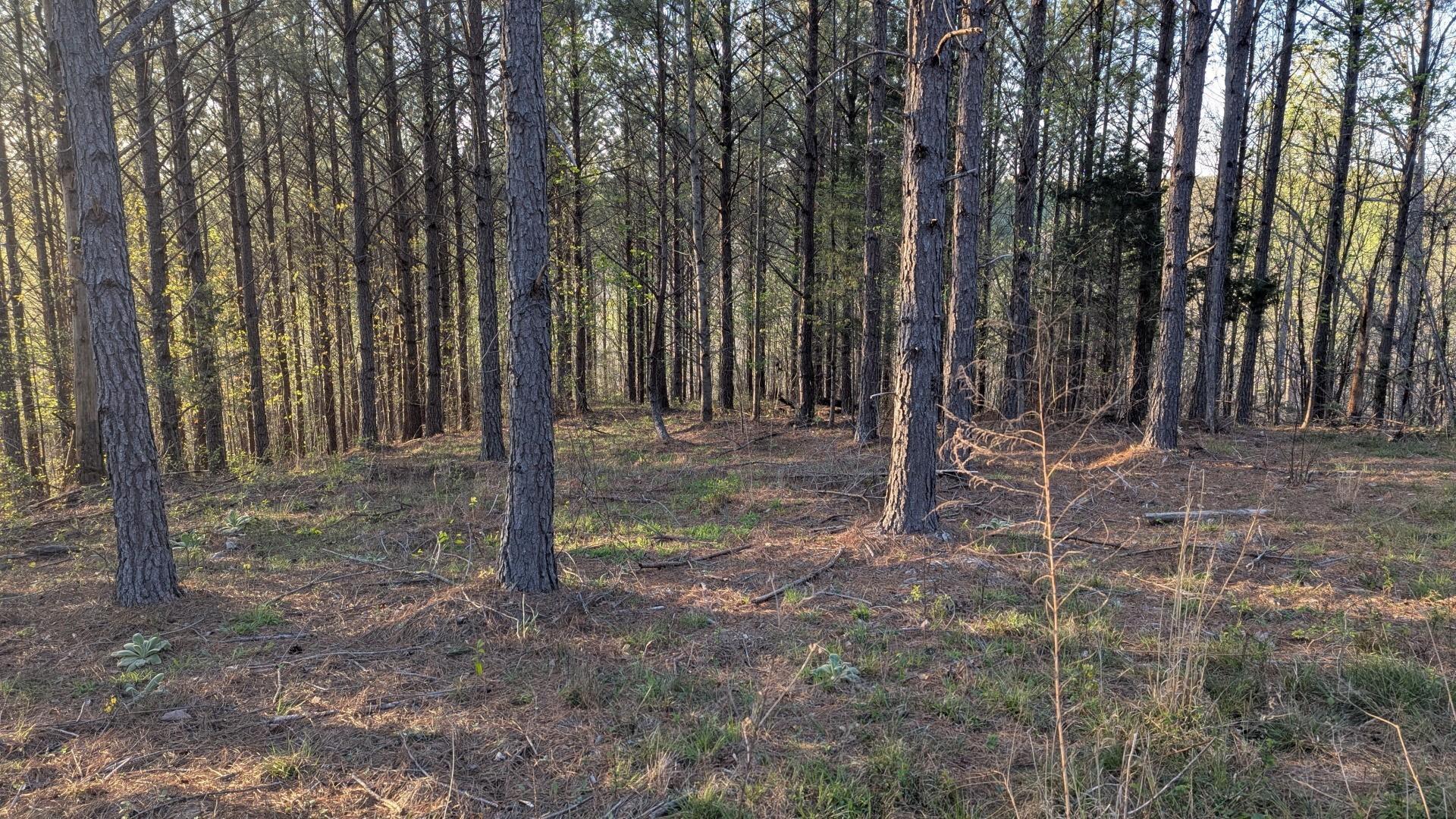 Image 3 Image 3