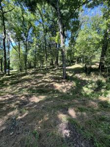 0 Horseshoe Bend Ln