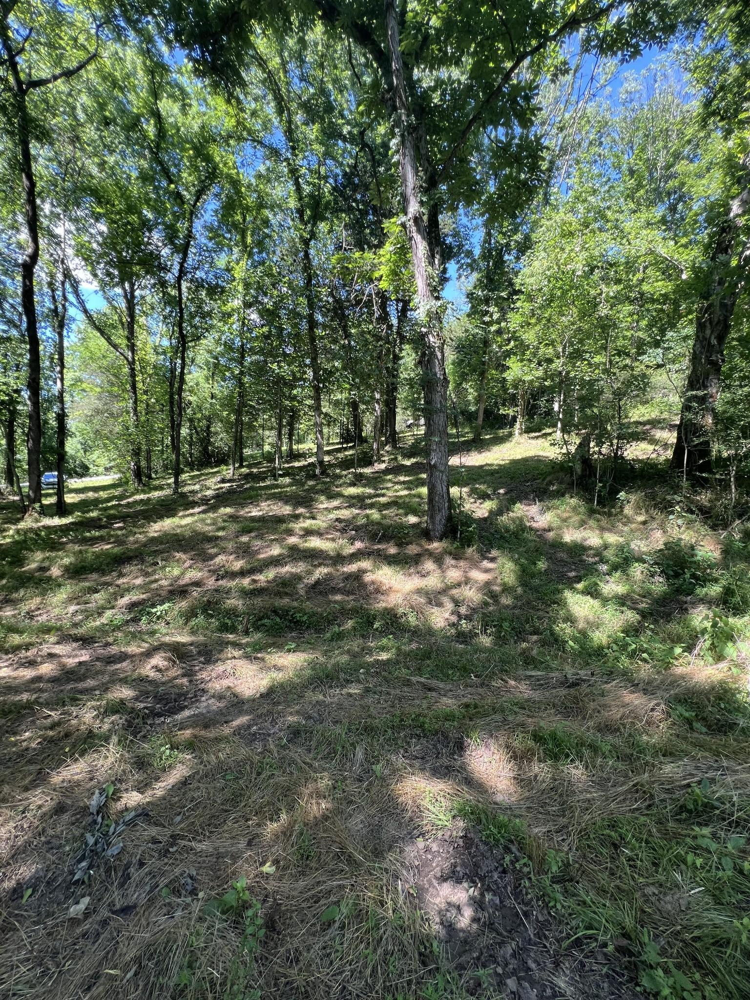 Image 1 Image 1