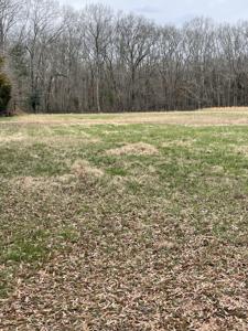 0 Old Estill Springs Rd