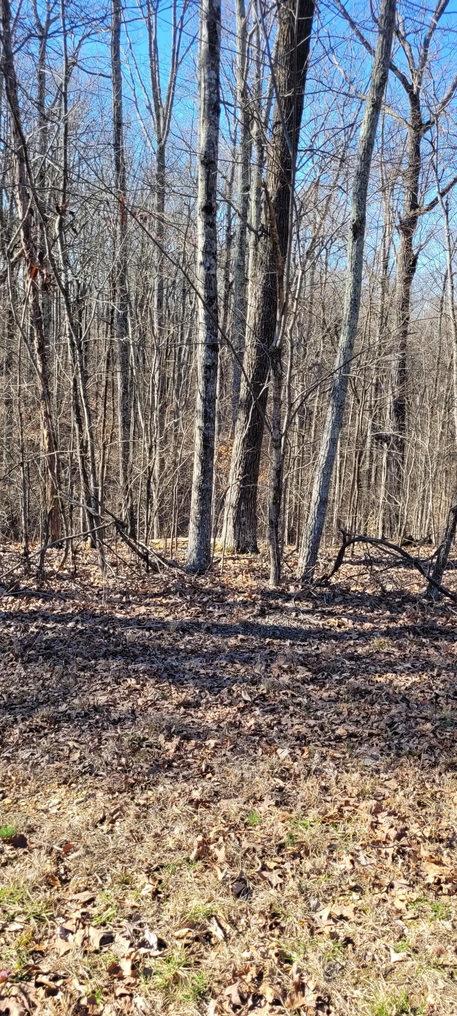 Image 3 Image 3