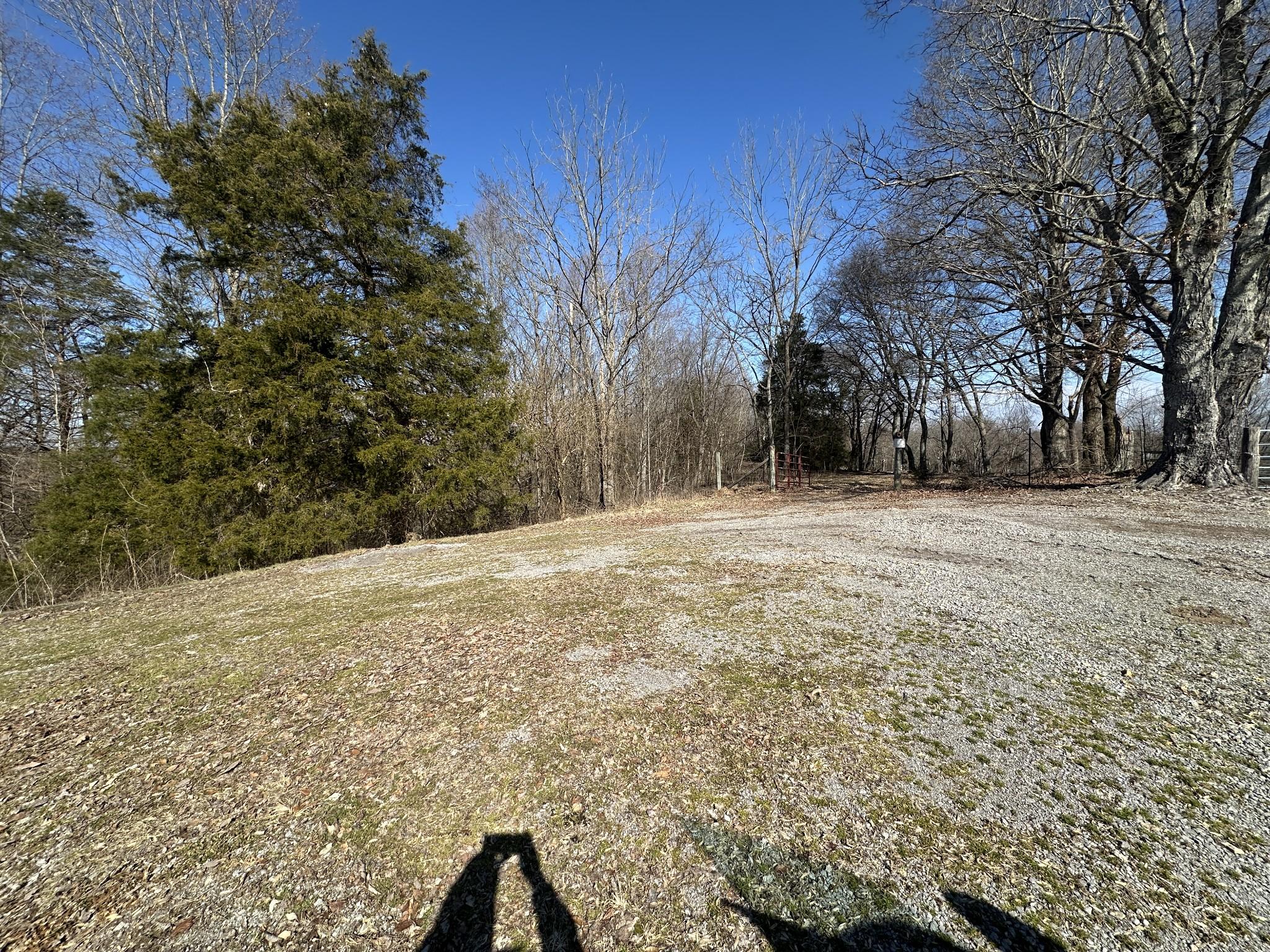 Image 4 Image 4