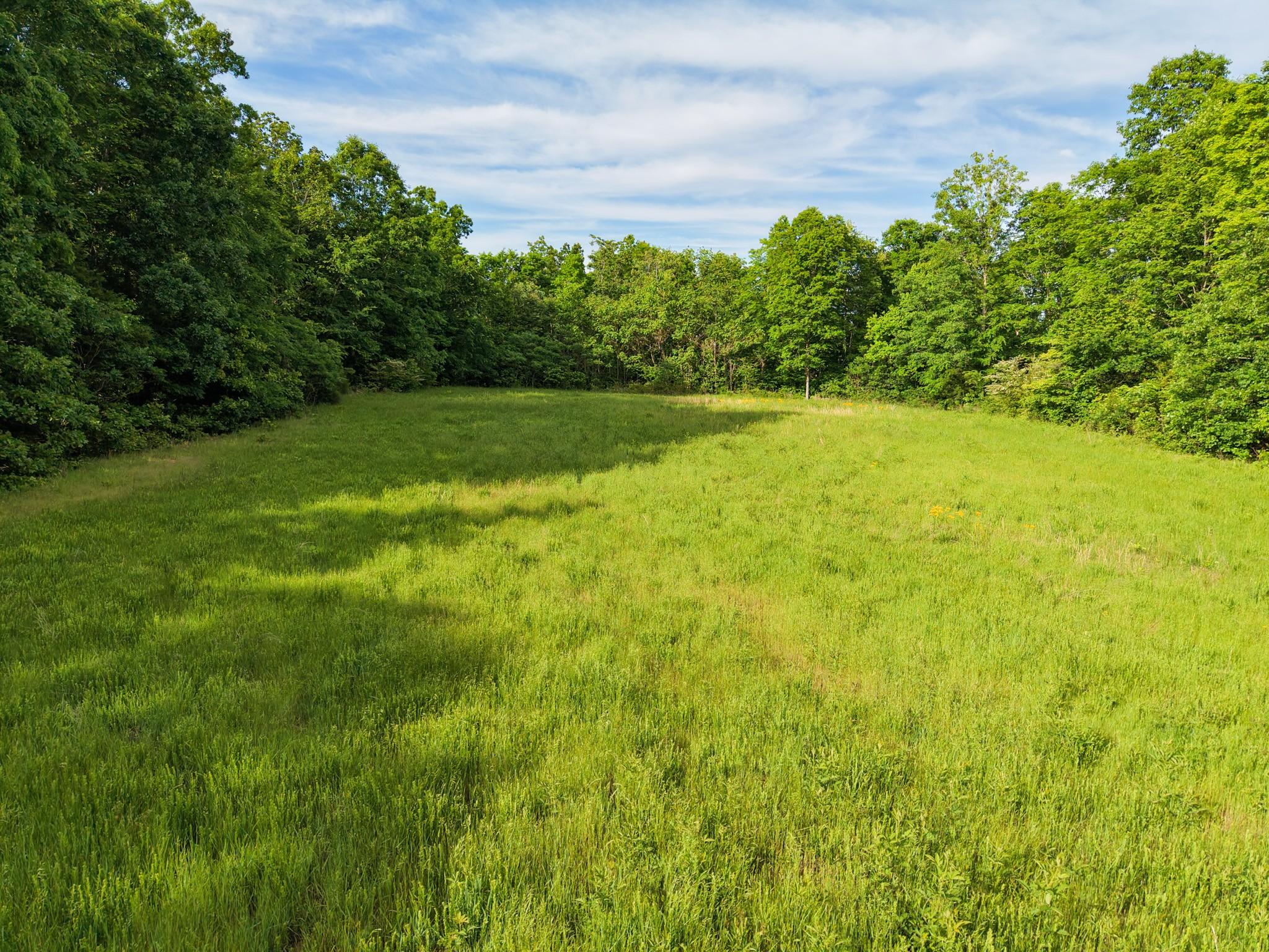 Image 1 Image 1