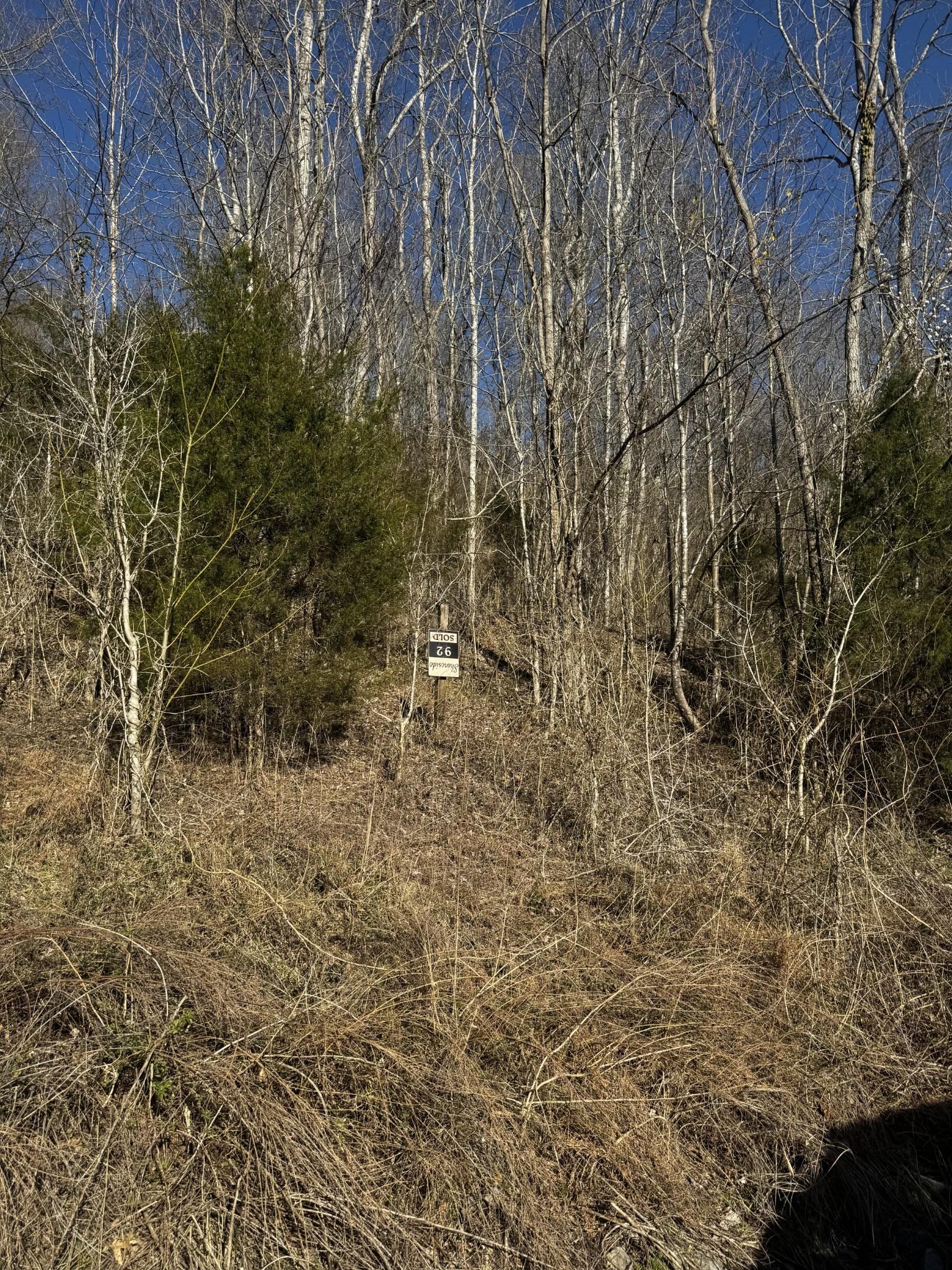 Image 3 Image 3