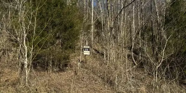 Image 3 Image 3