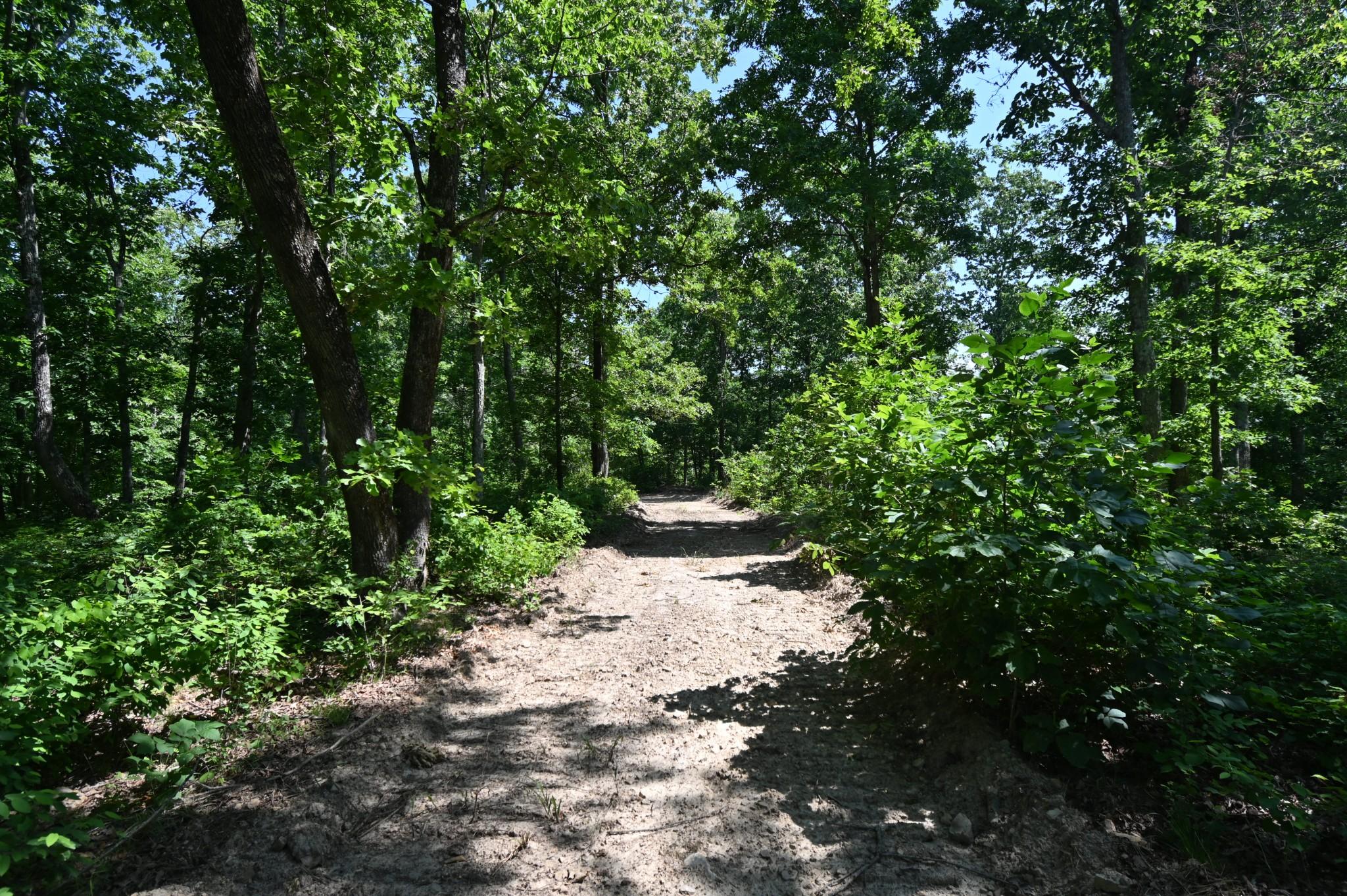 Image 2 Image 2
