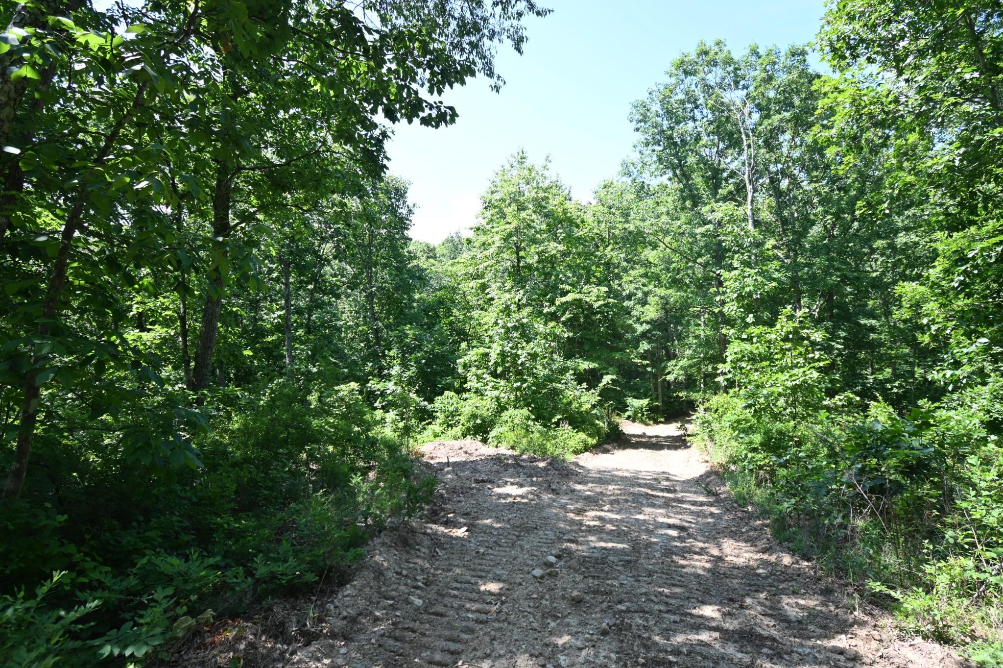 Image 4 Image 4