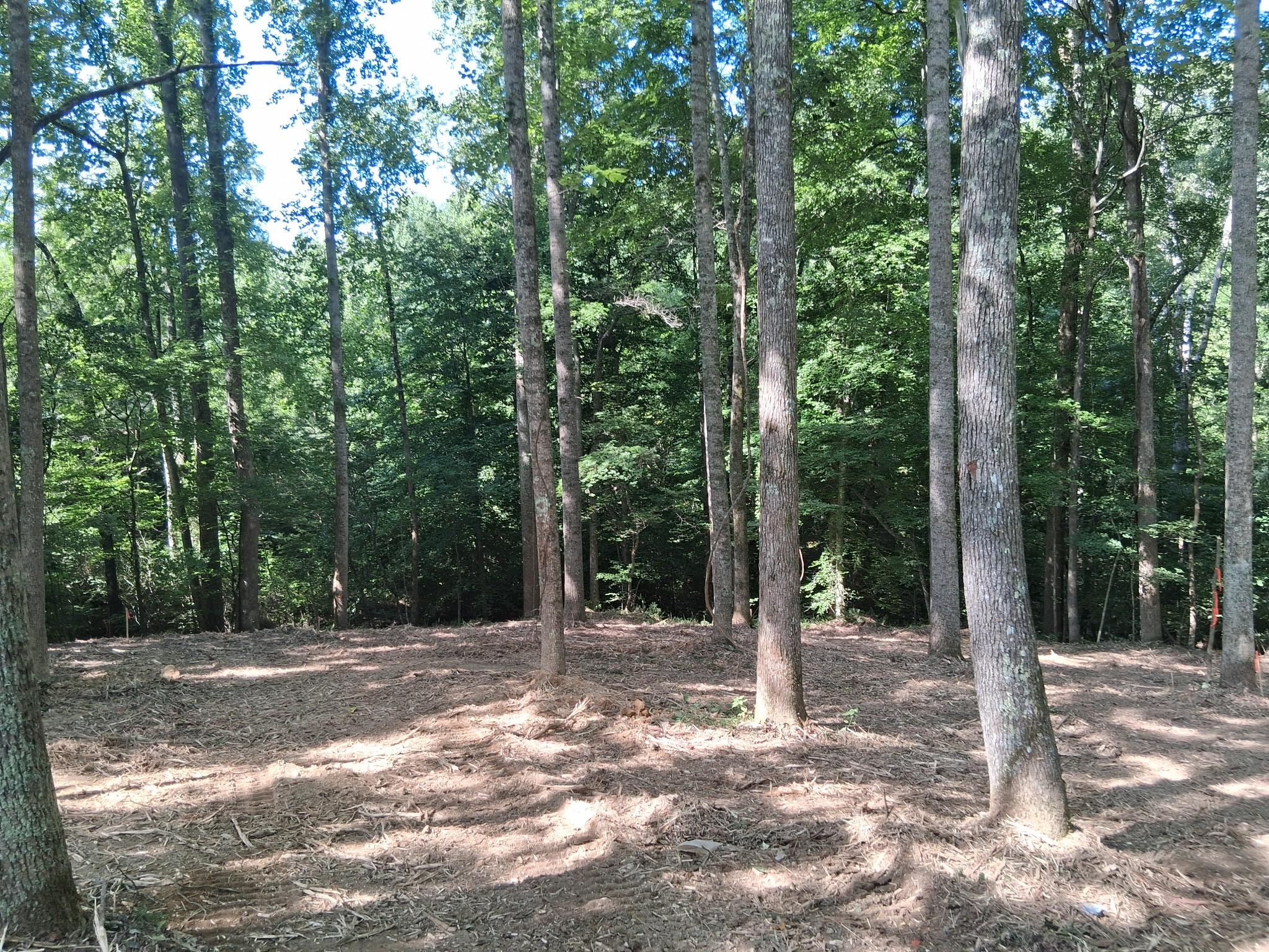 Image 3 Image 3