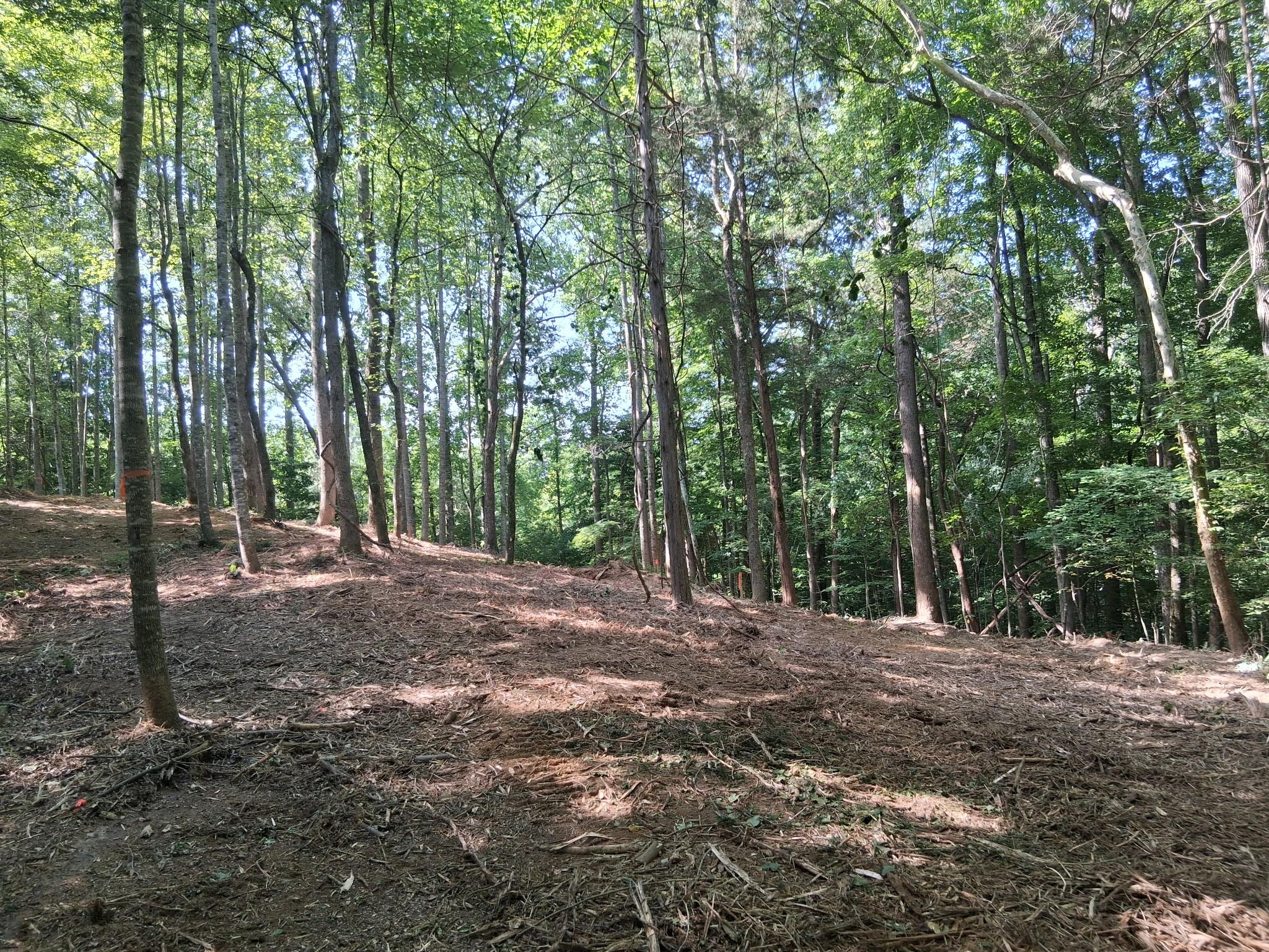 Image 4 Image 4