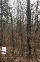 14A Allen Bend RD