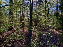 0 Pleasant Hill Road