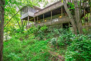 1594 Damron Rd