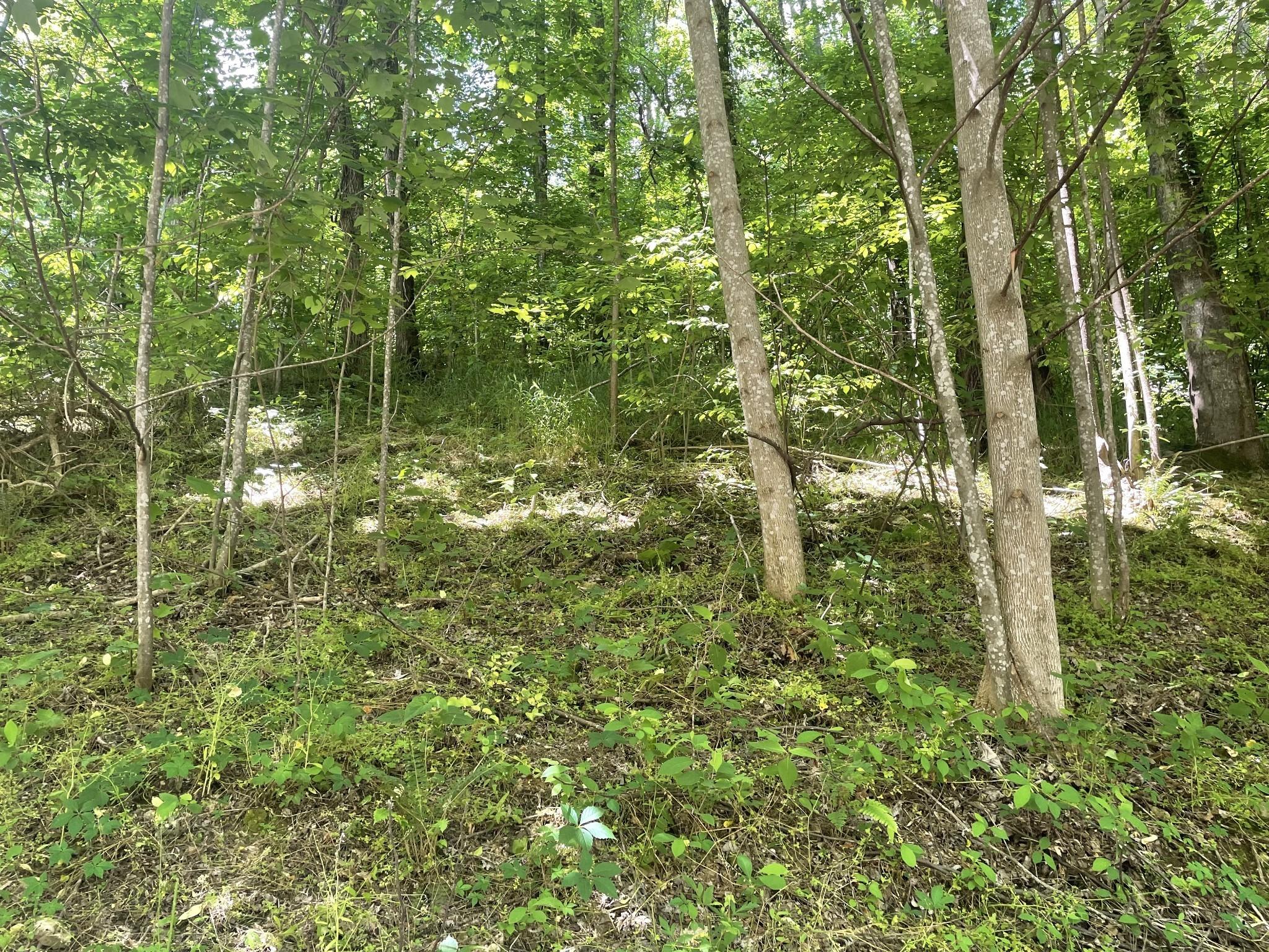 Image 3 Image 3