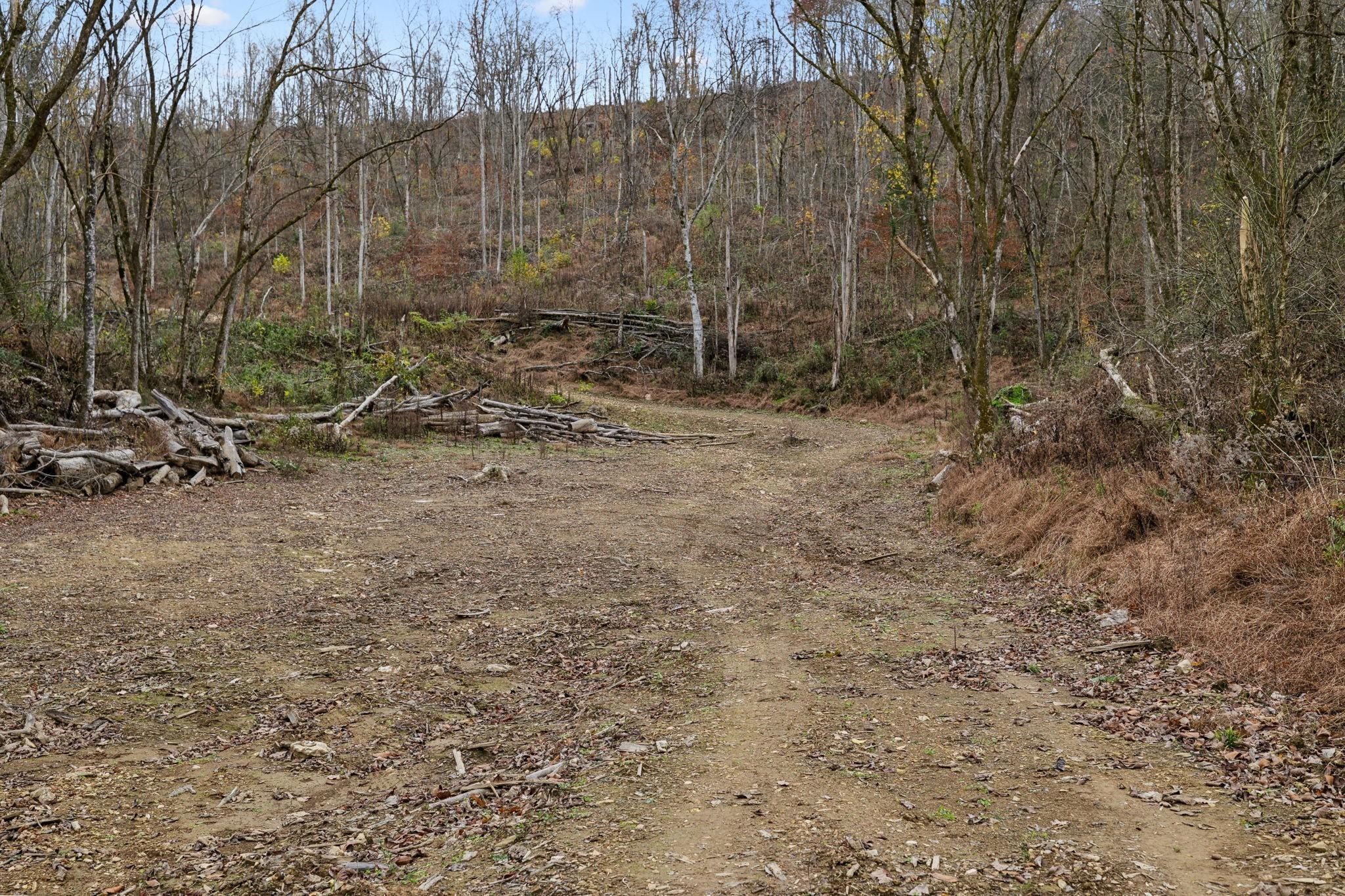 Image 4 Image 4