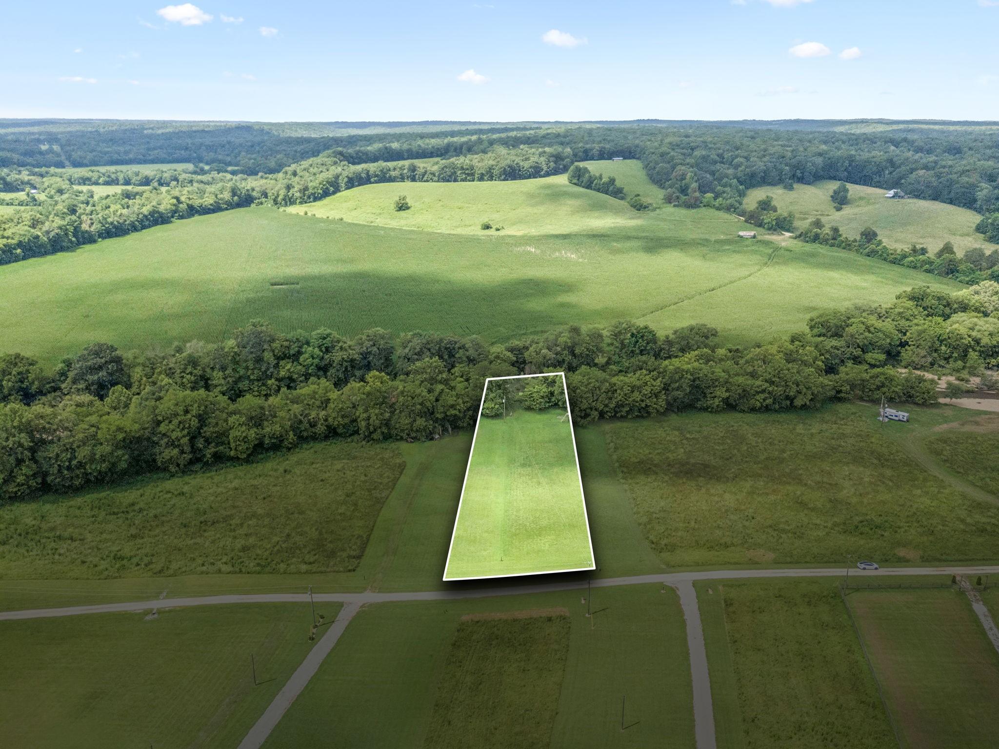 Image 1 Image 1