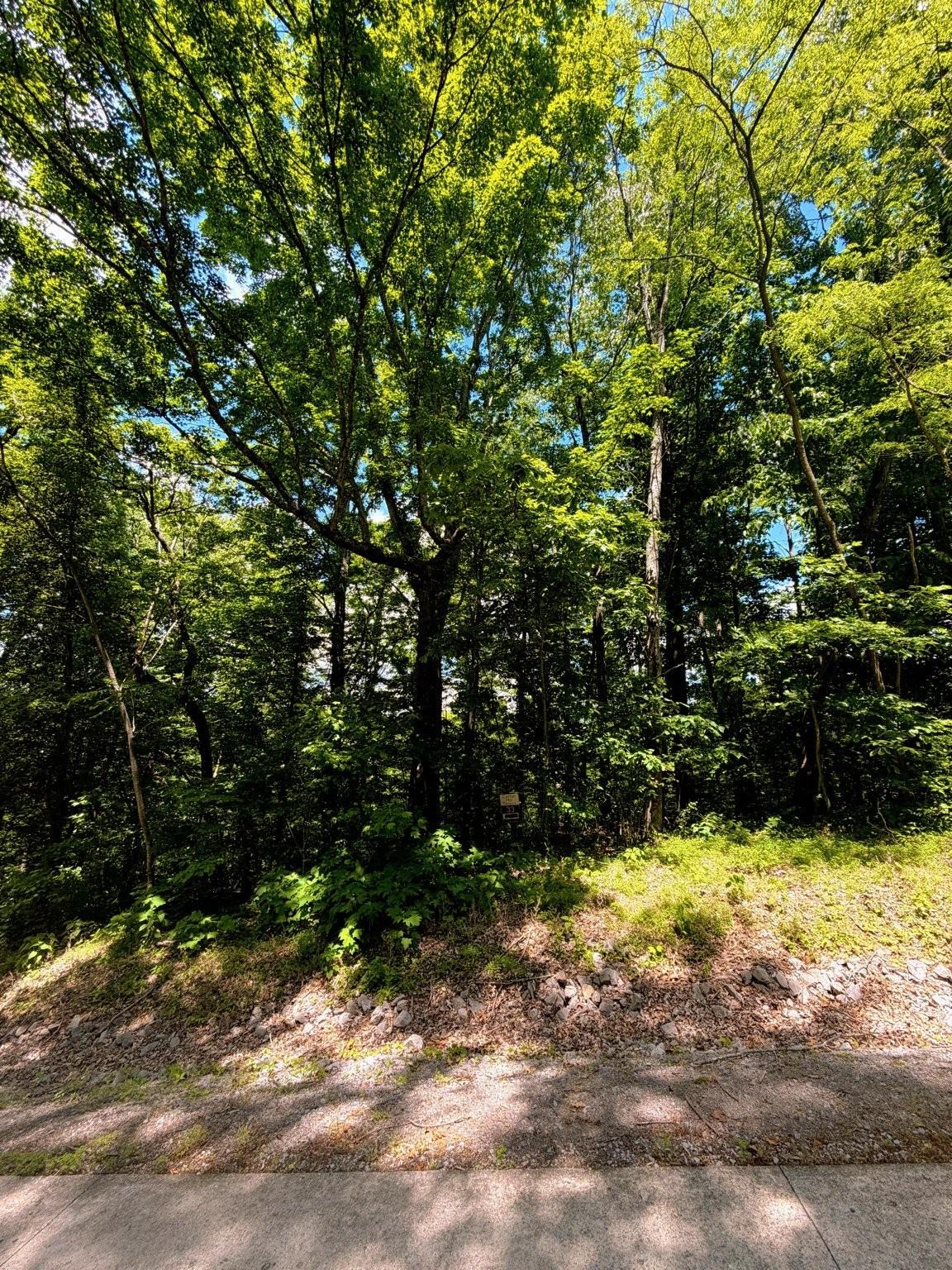 Image 3 Image 3
