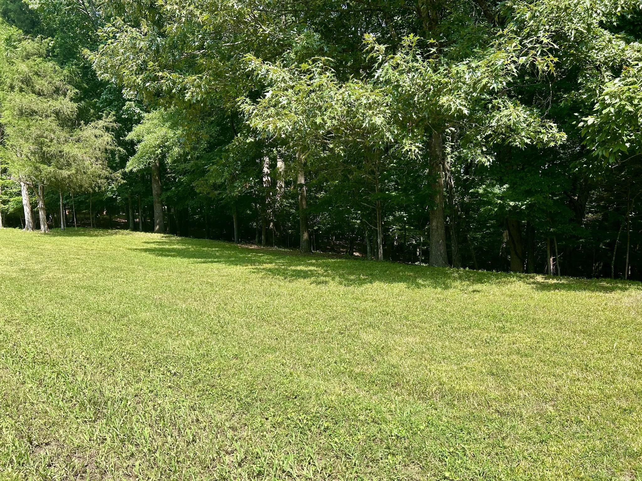 Image 3 Image 3