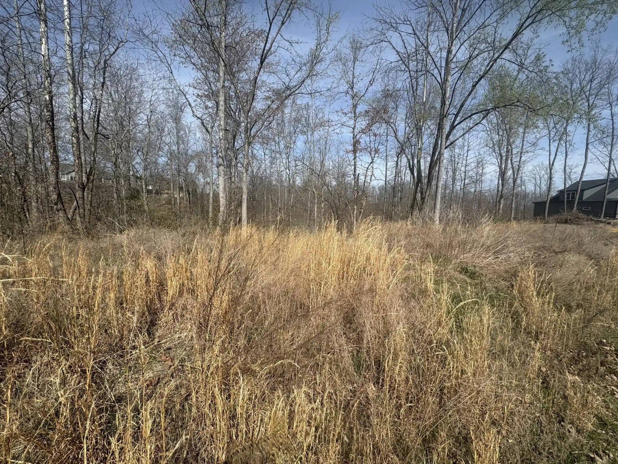 Image 1 Image 1
