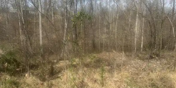 Image 3 Image 3