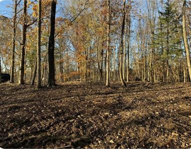 260 Lineport Rd