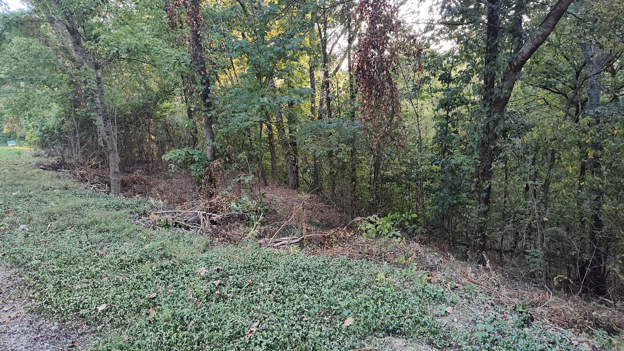 Image 2 Image 2