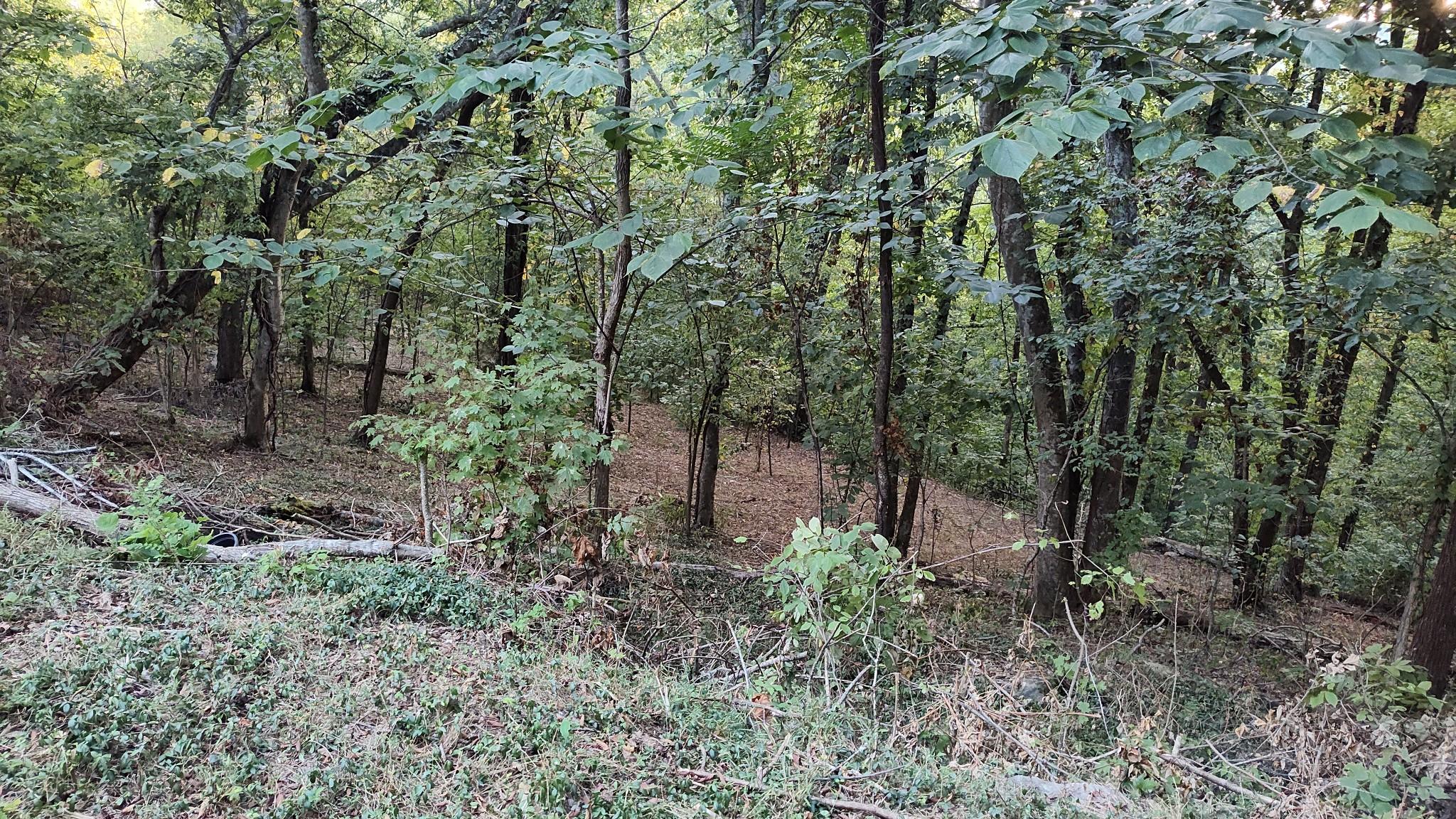 Image 3 Image 3
