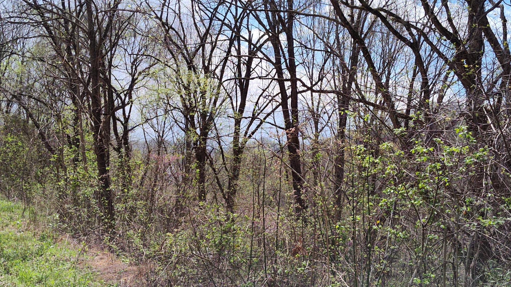 Image 4 Image 4
