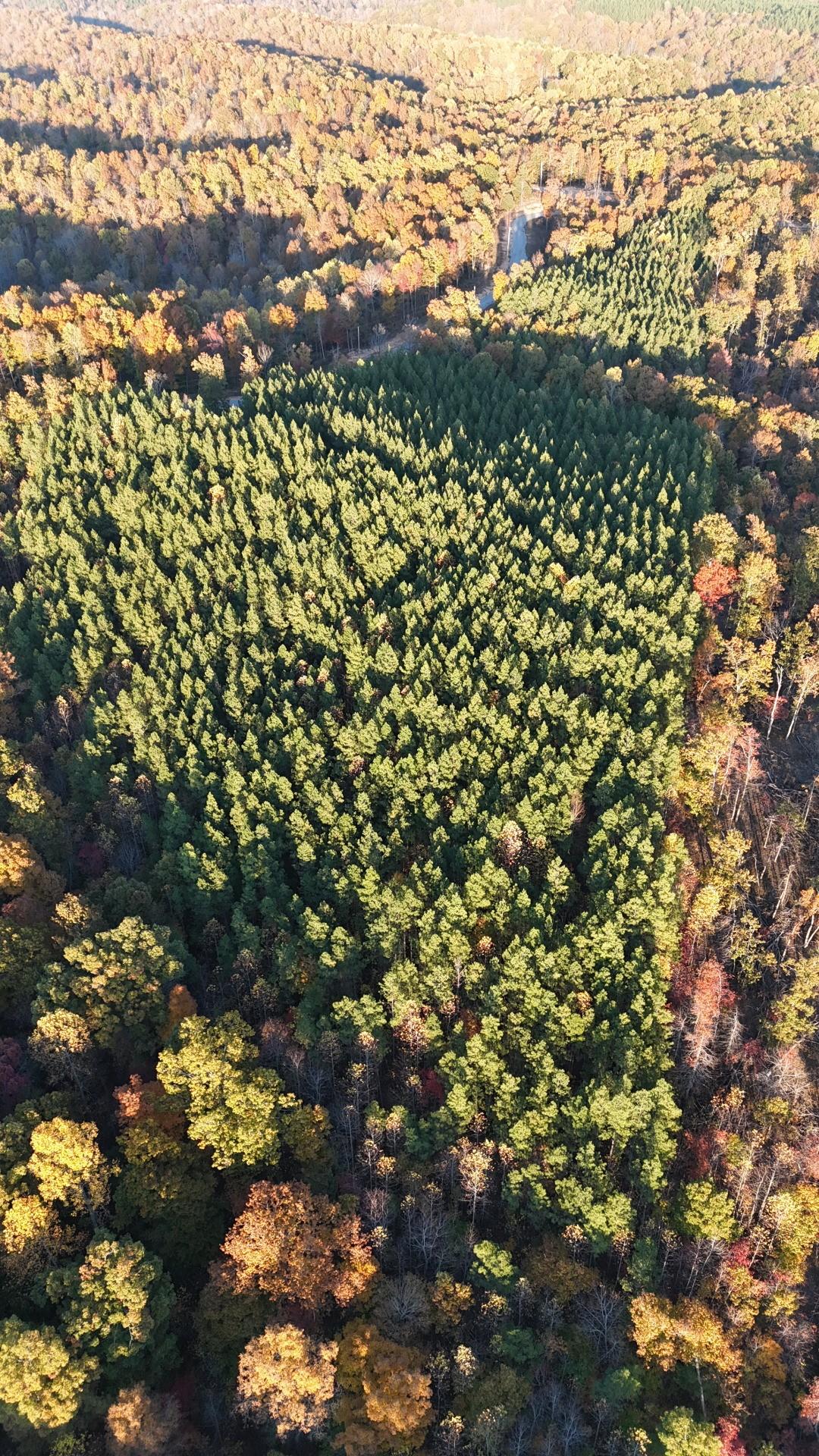 Image 4 Image 4