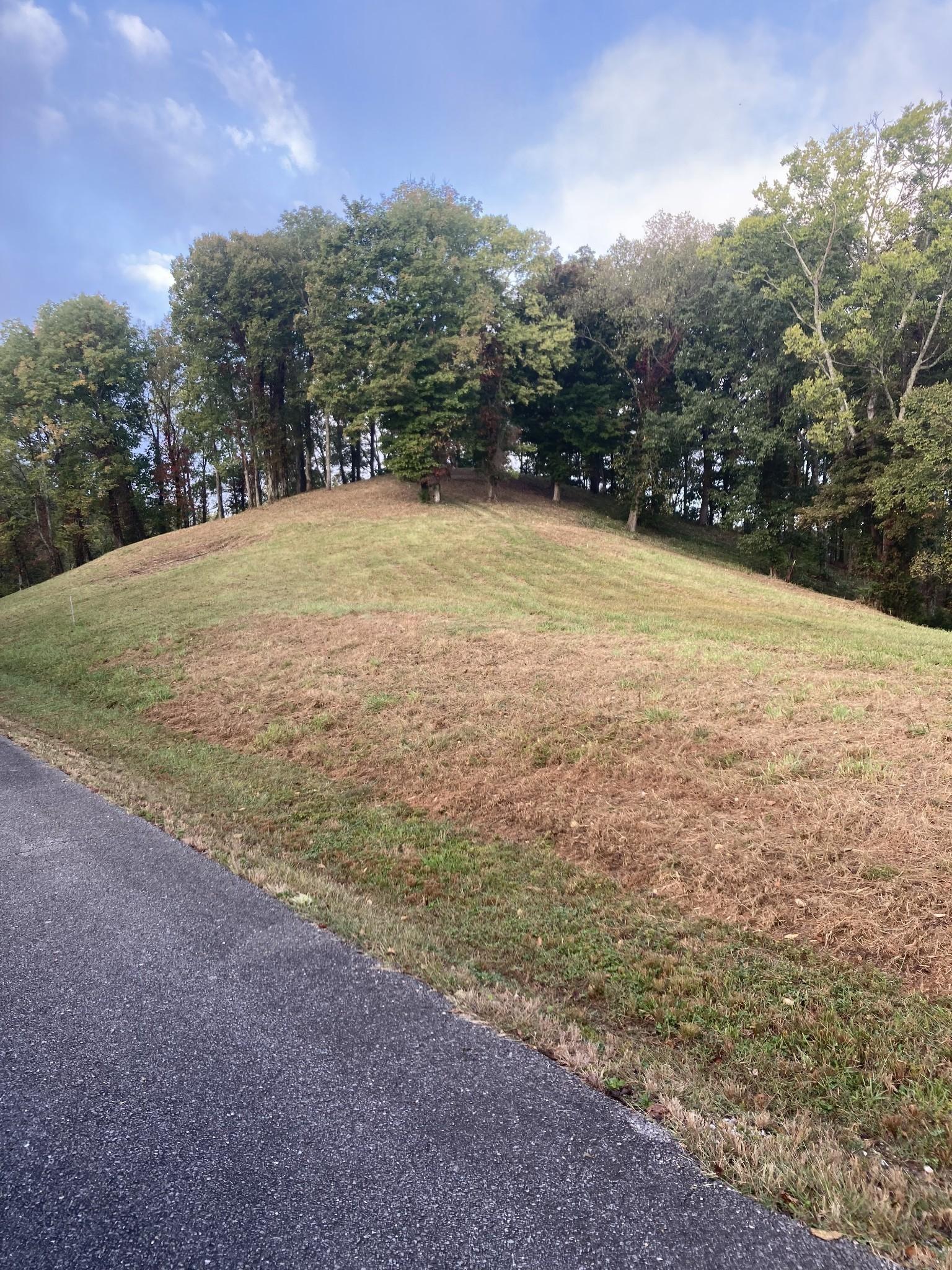 Image 4 Image 4