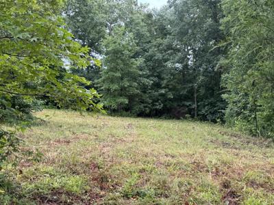 0 Johnson Hollow Rd
