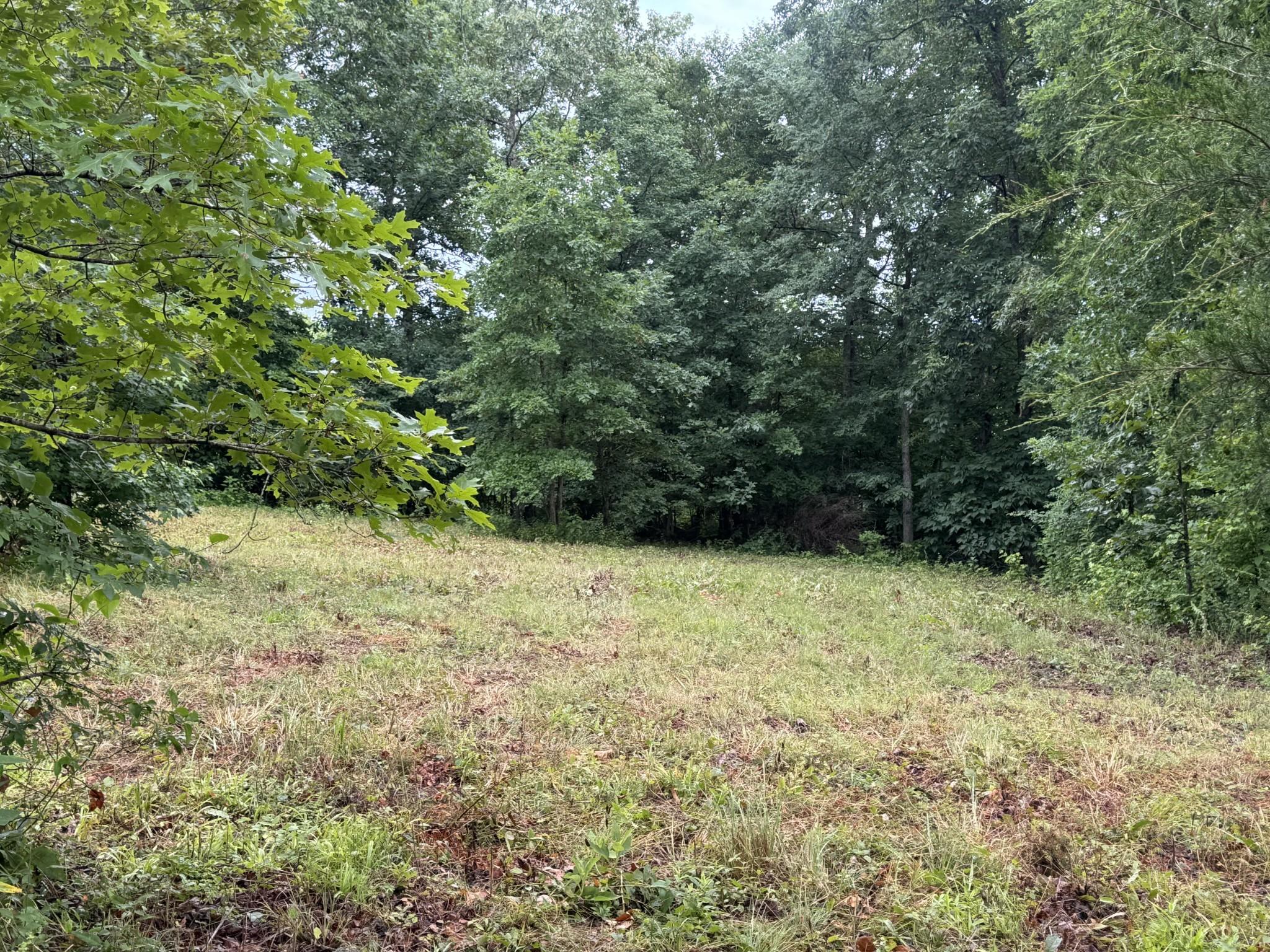Image 1 Image 1