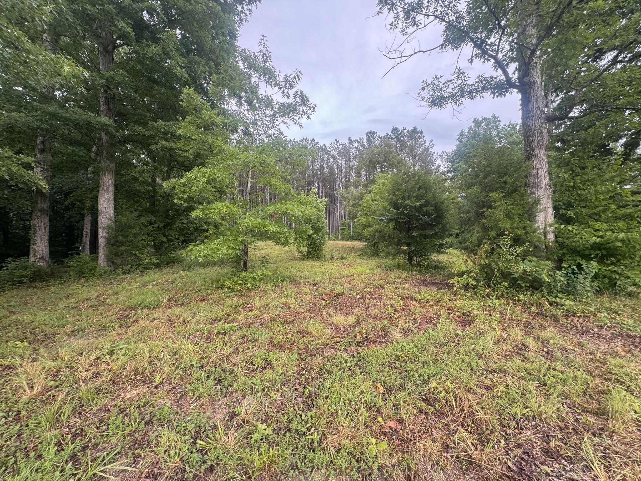 Image 4 Image 4