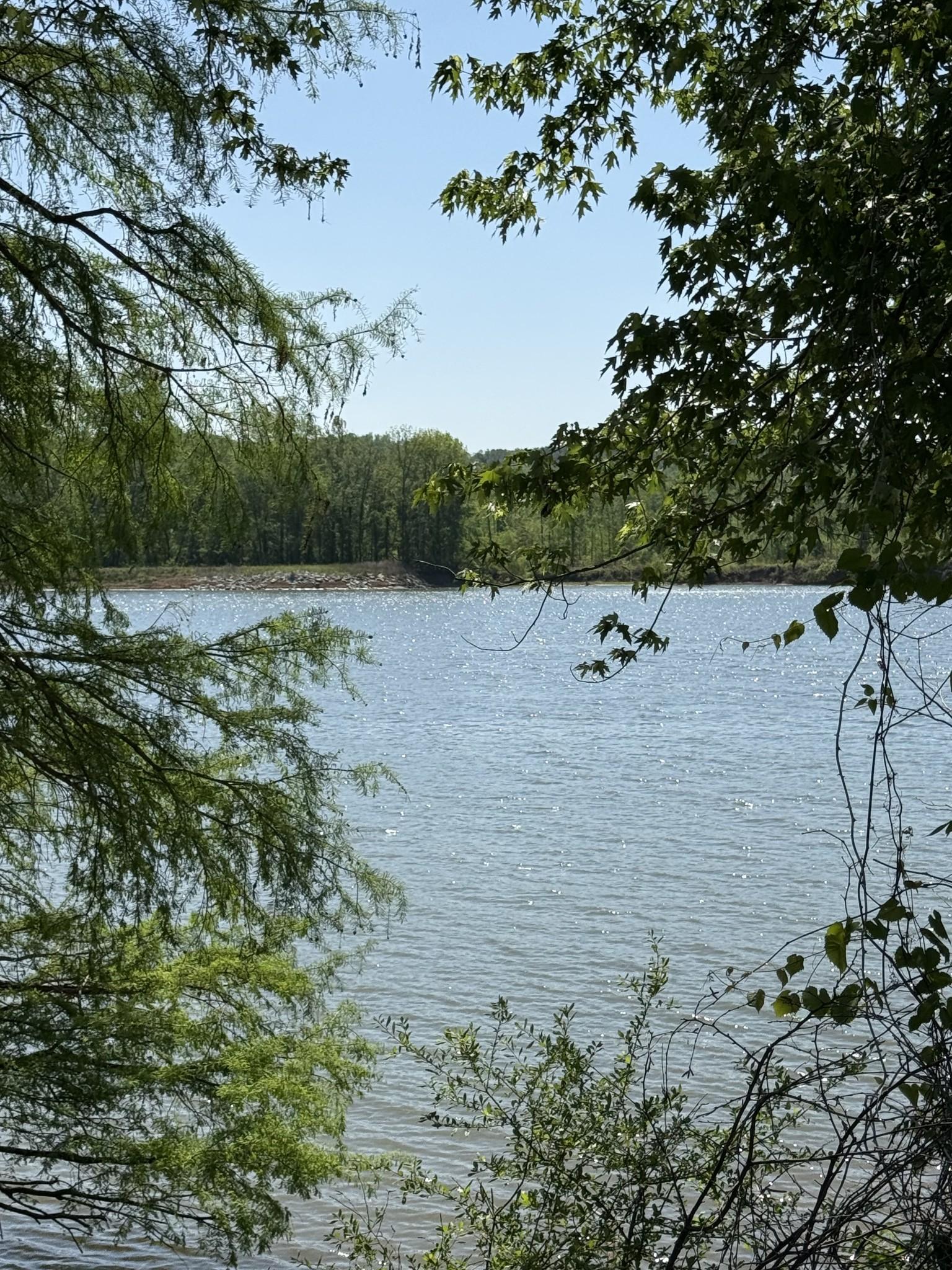 Image 4 Image 4