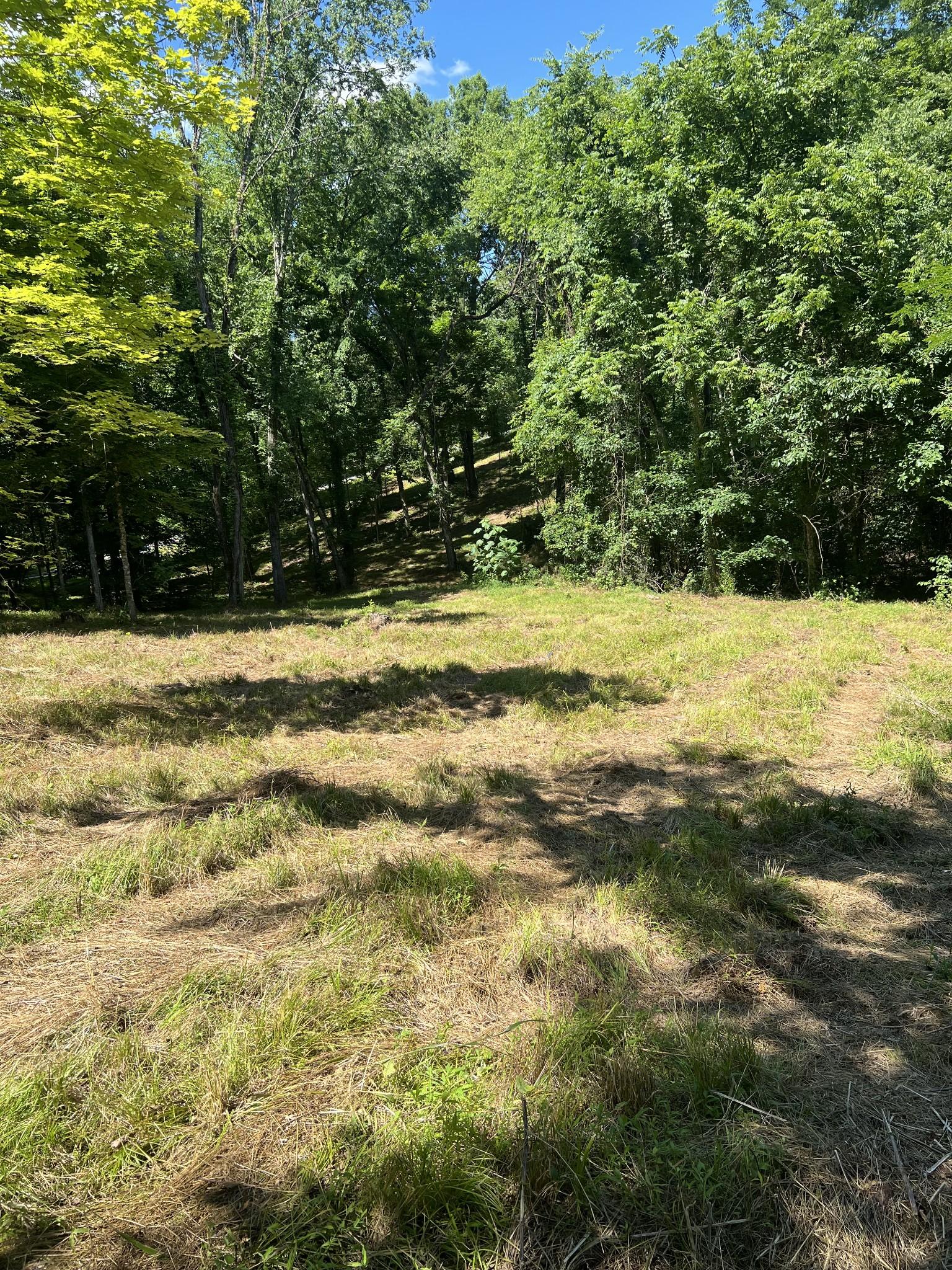 Image 4 Image 4