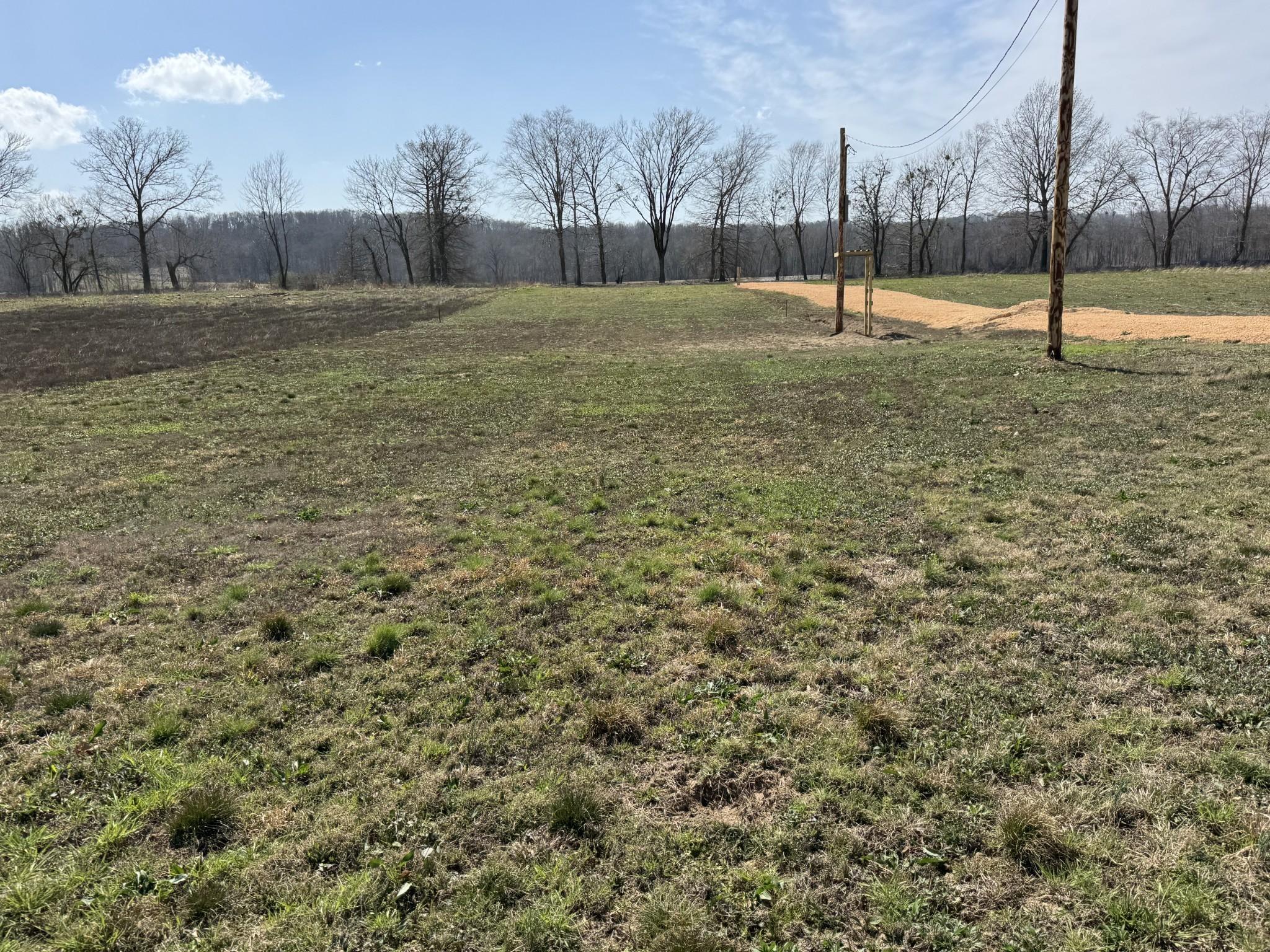 Image 4 Image 4