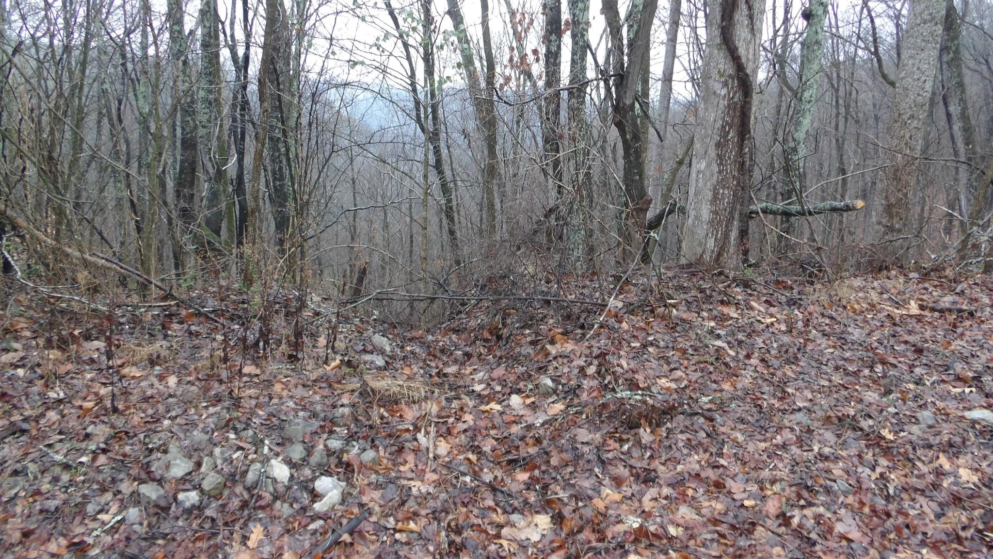 Image 2 Image 2