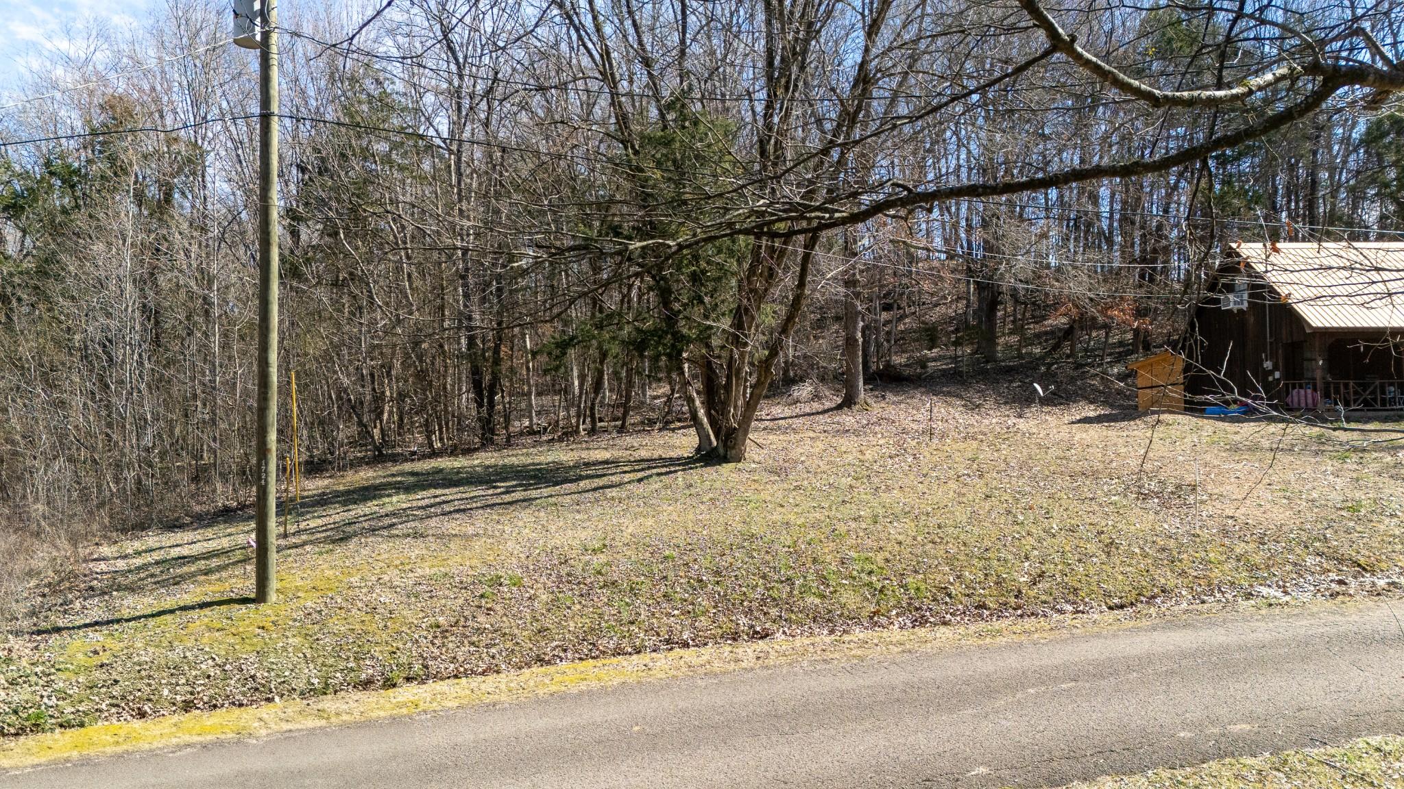 Image 4 Image 4