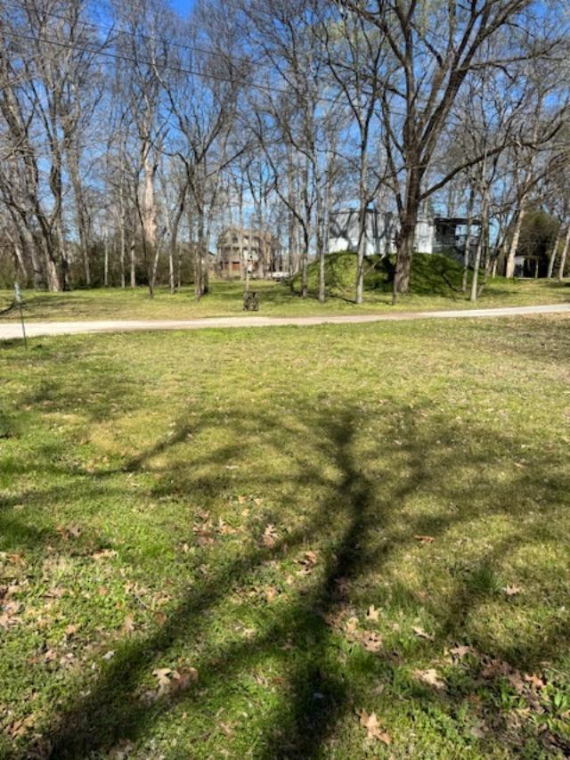 Image 4 Image 4