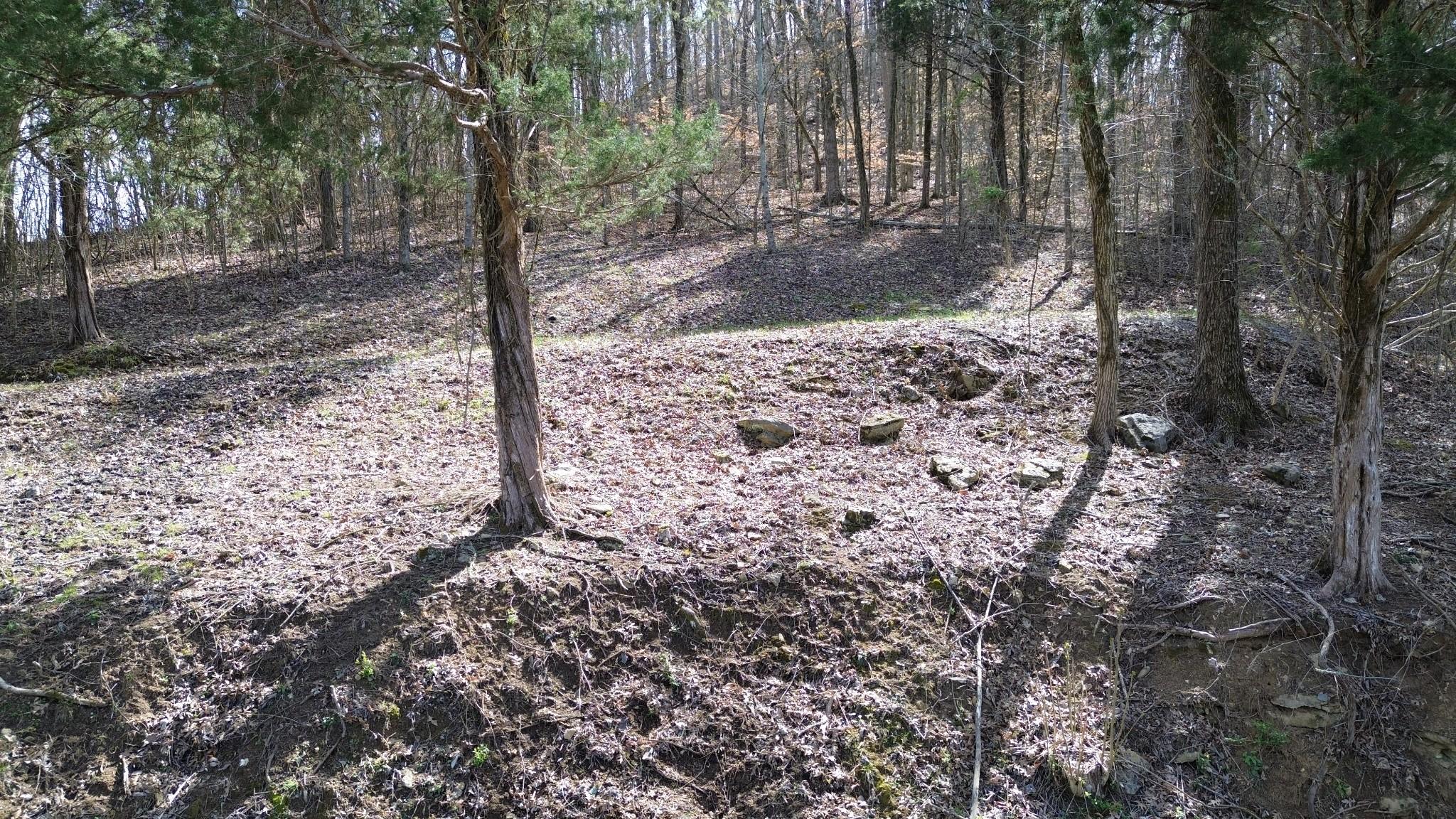 Image 3 Image 3