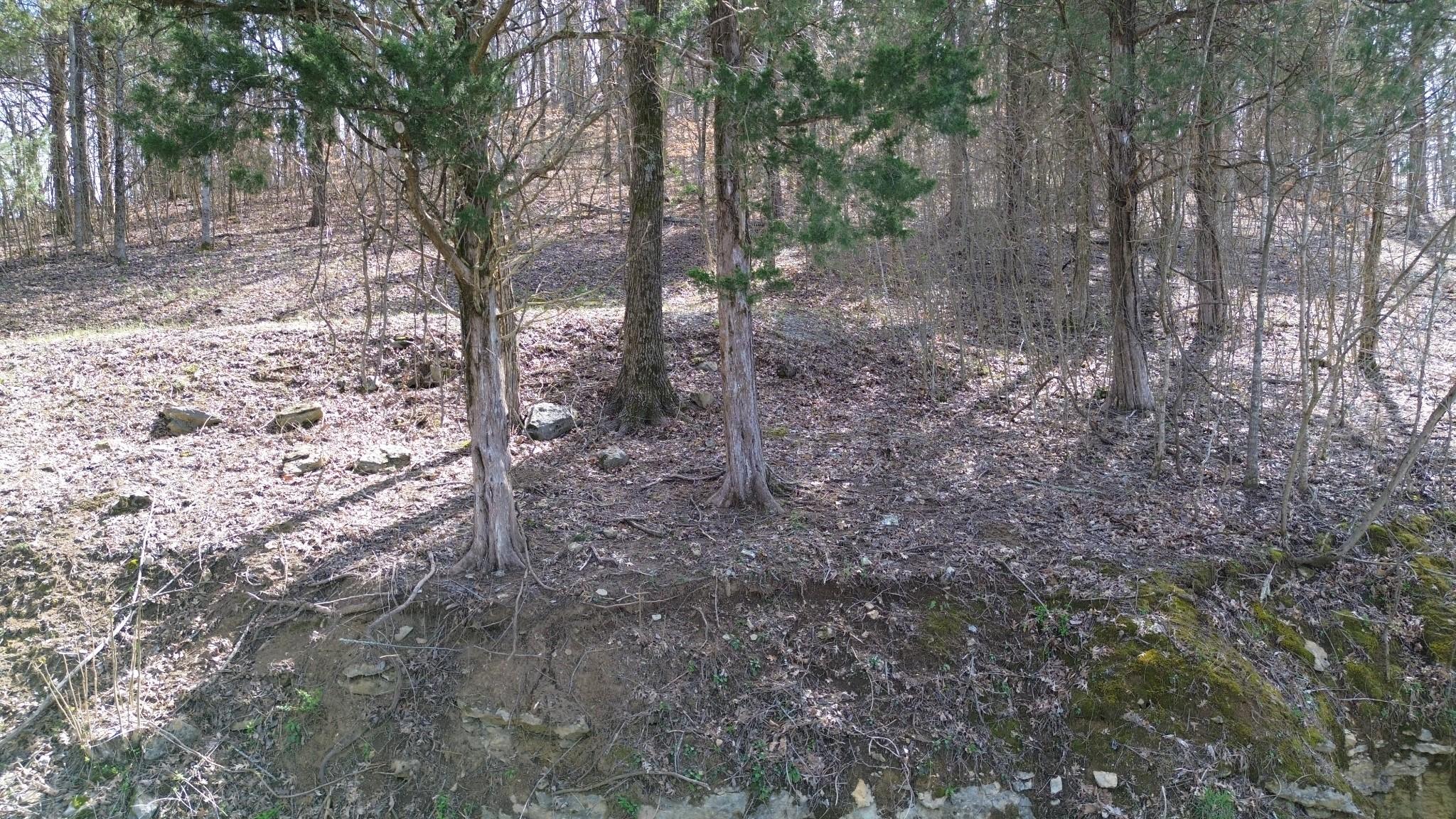 Image 4 Image 4