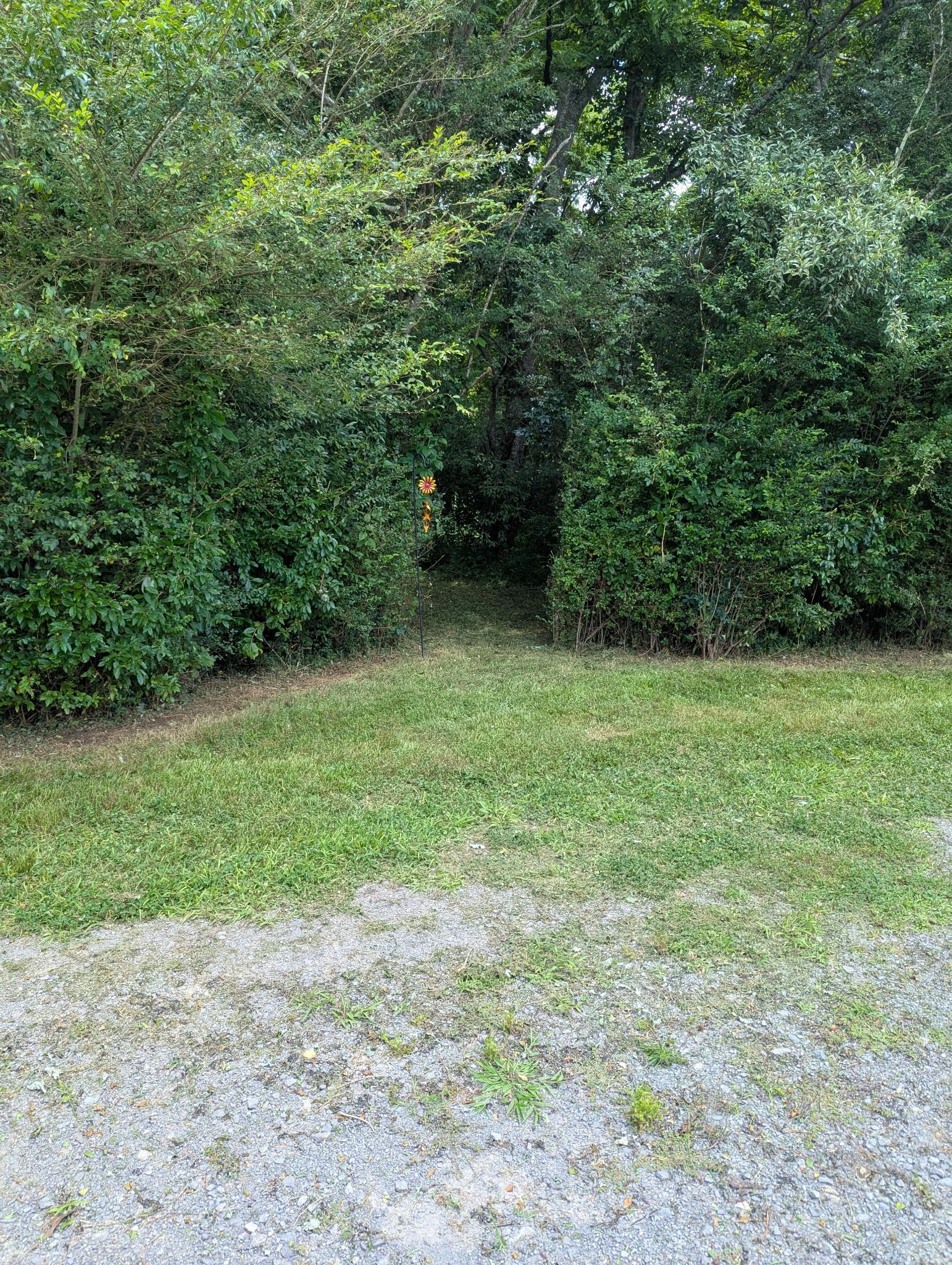 Image 4 Image 4