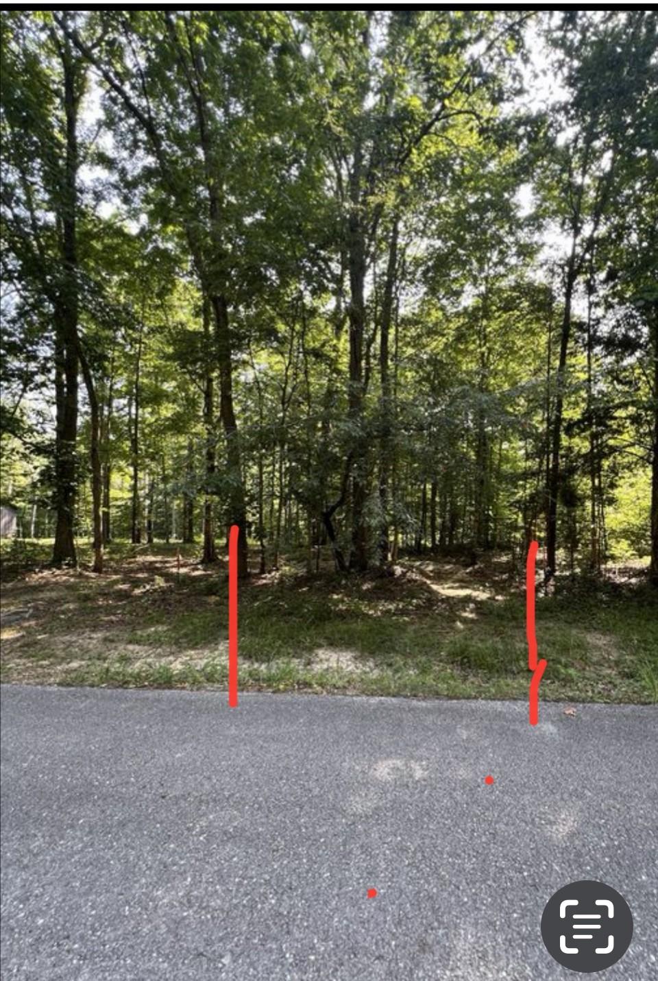 Image 4 Image 4